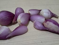 Apakah Bawang Merah Bisa Mengobati Demam? Ini Faktanya!